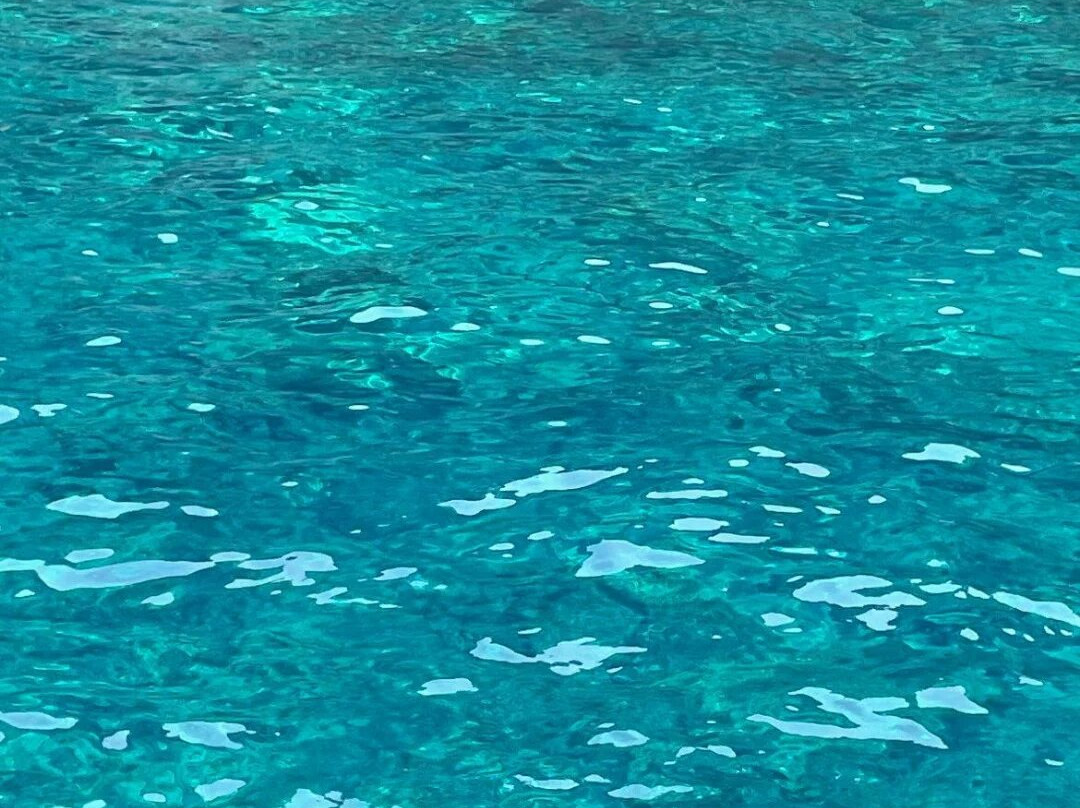 Societa di Navigazione Costiera-利帕里必去景点