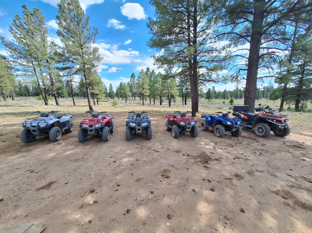 Canyon Off Road Adventures - Guided ATV Tours South Rim-图萨扬必去景点