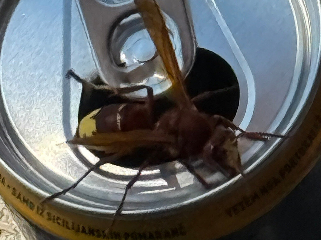 Laguna Beach - Ksamil-Ksamil必去景点