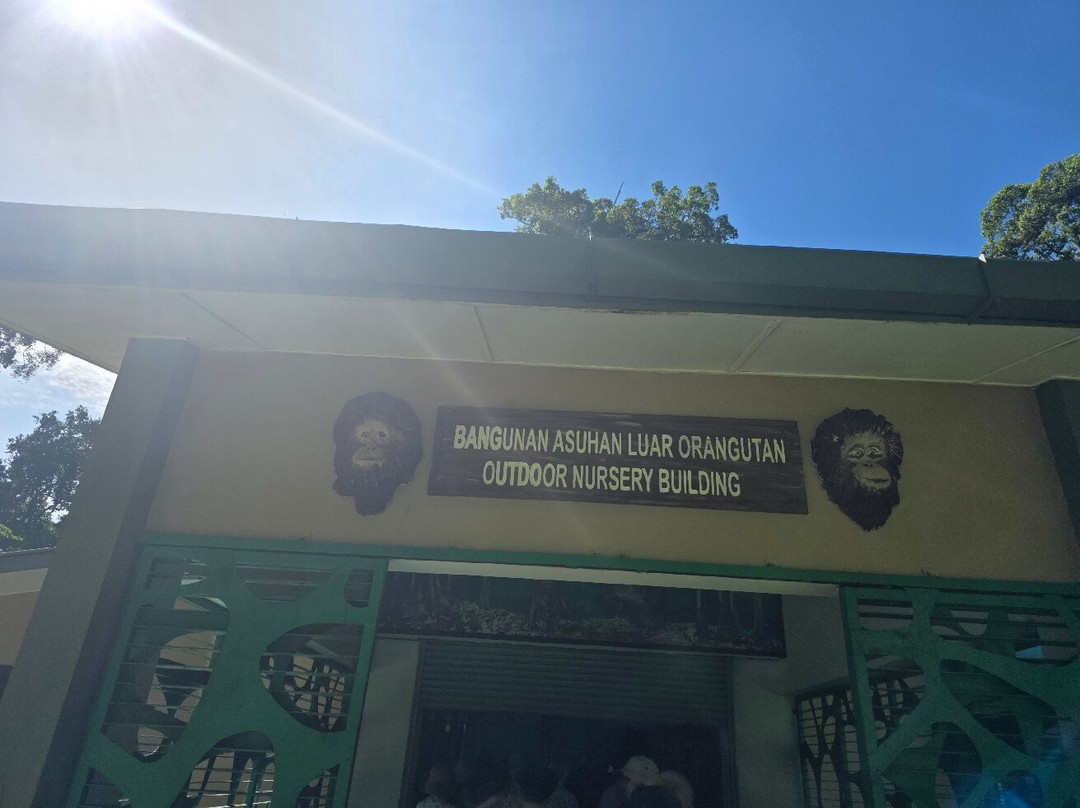 Sepilok Orangutan Rehabilitation Centre-山打根必去景点