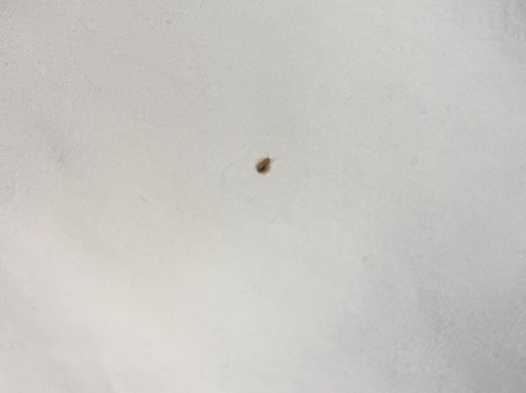 Roosevelt Grand Dakota, SureStay Collection By Best Western主图