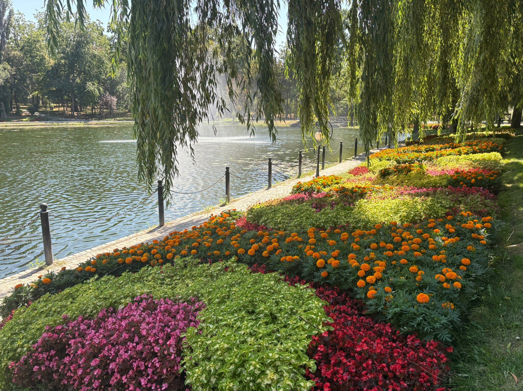 Parcul Nicolae Romanescu-克拉约瓦必去景点