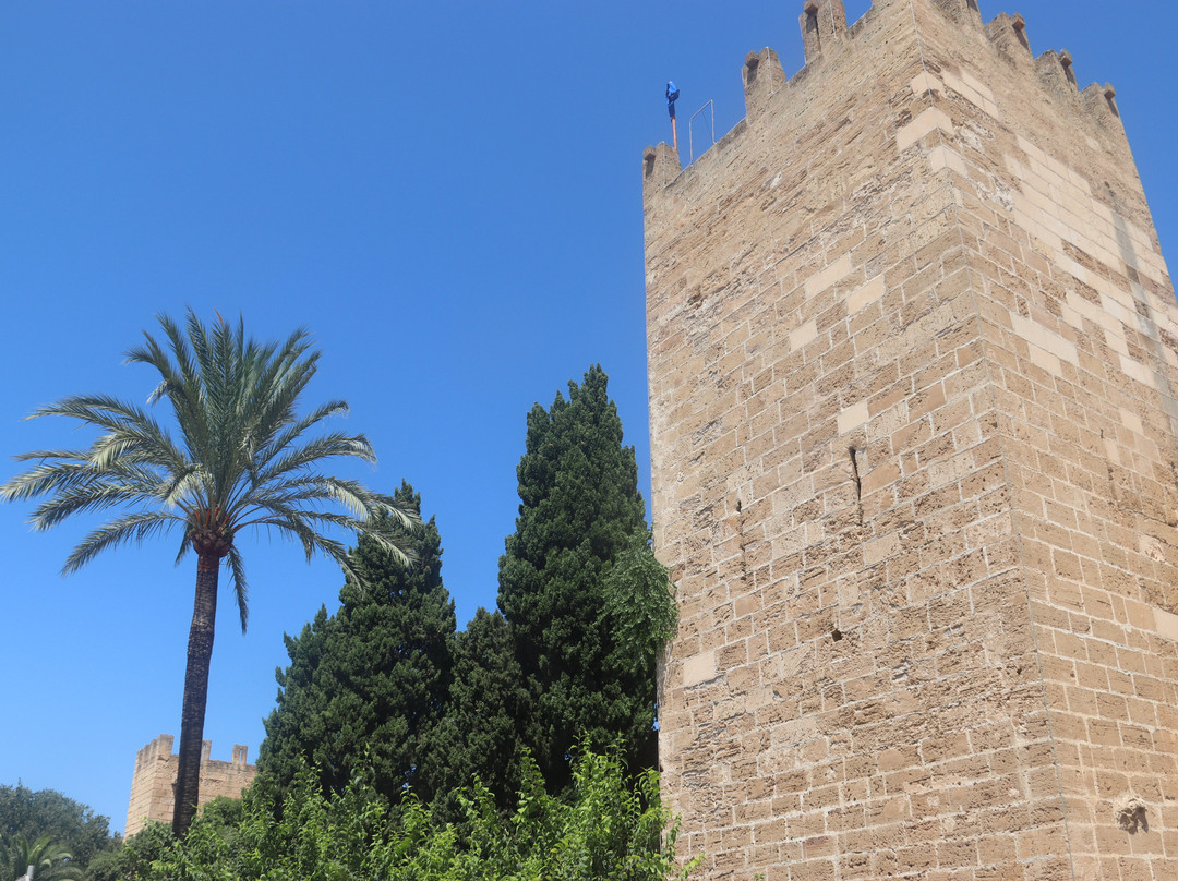 Murada Medieval D'alcúdia-阿库迪亚必去景点