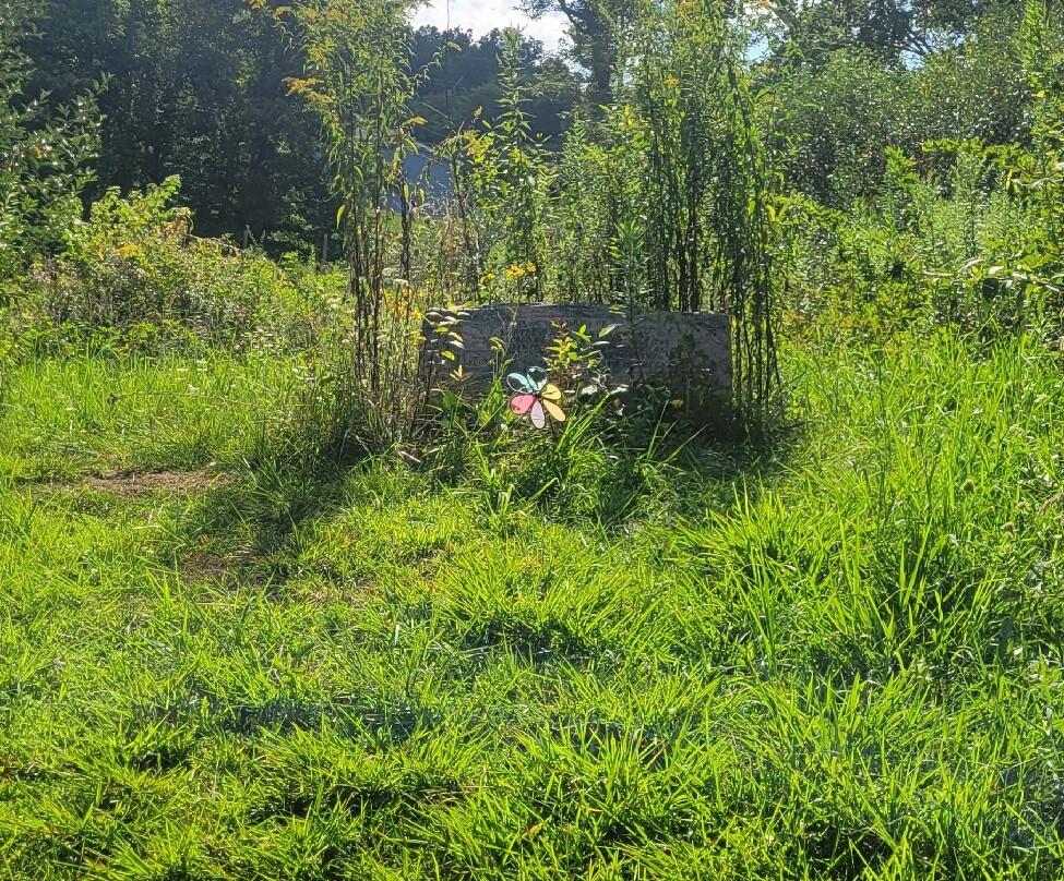 Lake Shawnee Abandoned Amusement Park-Rock必去景点