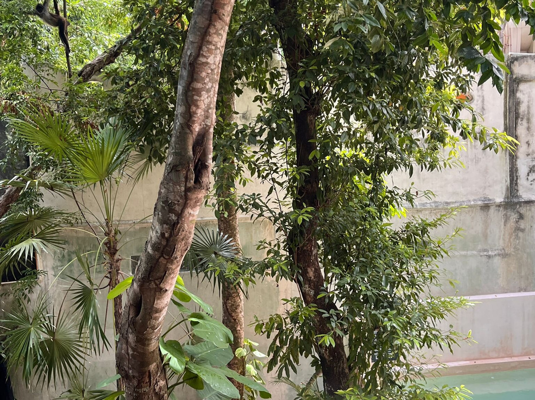 Terasu Riviera Maya Hotel & Spa主图