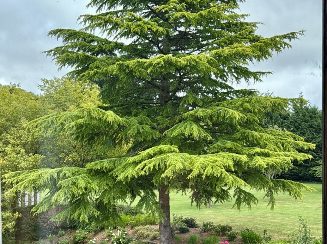 贝斯特韦斯特林荫道酒店主图