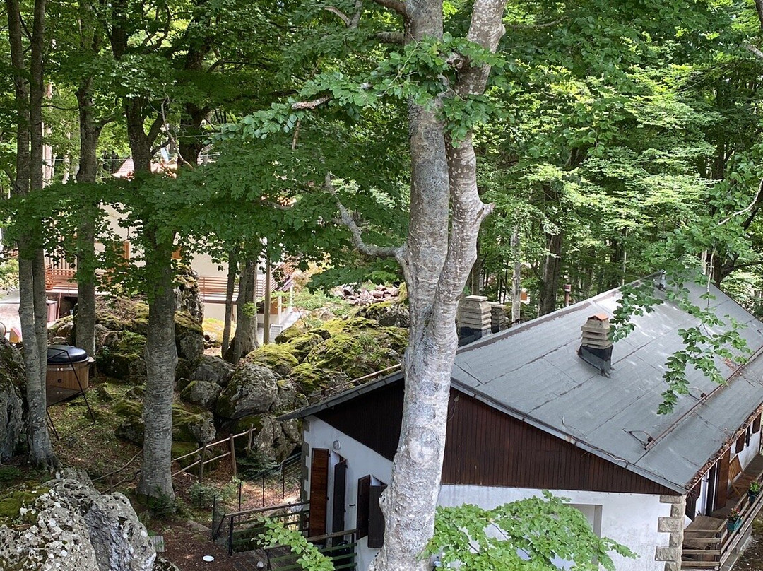 Albergo Generale Cantore主图