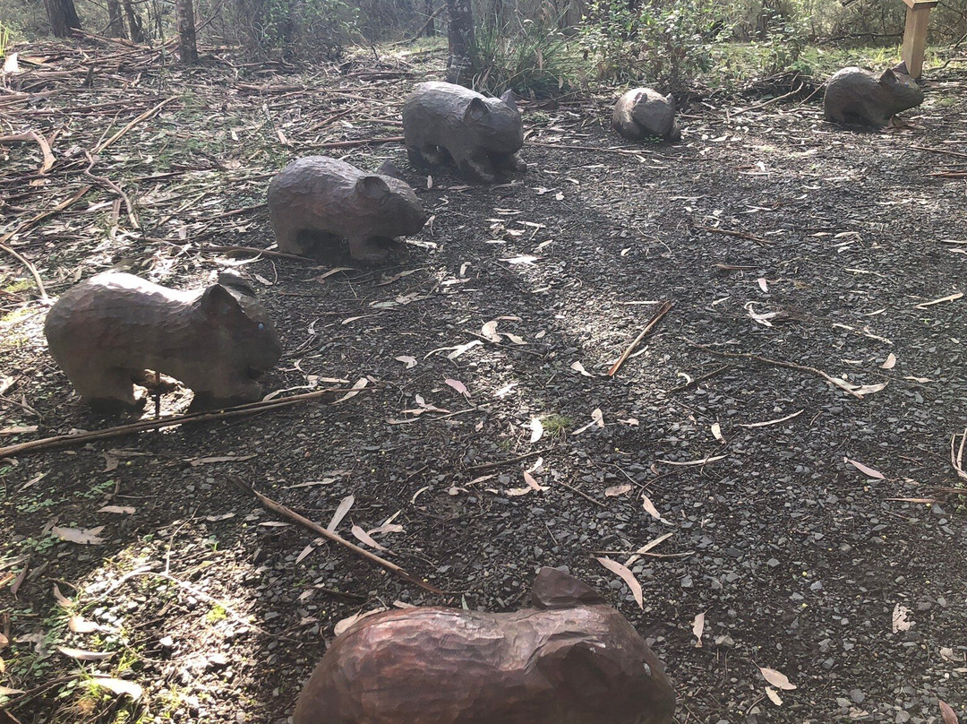 Nangara Reserve-Jindivick必去景点