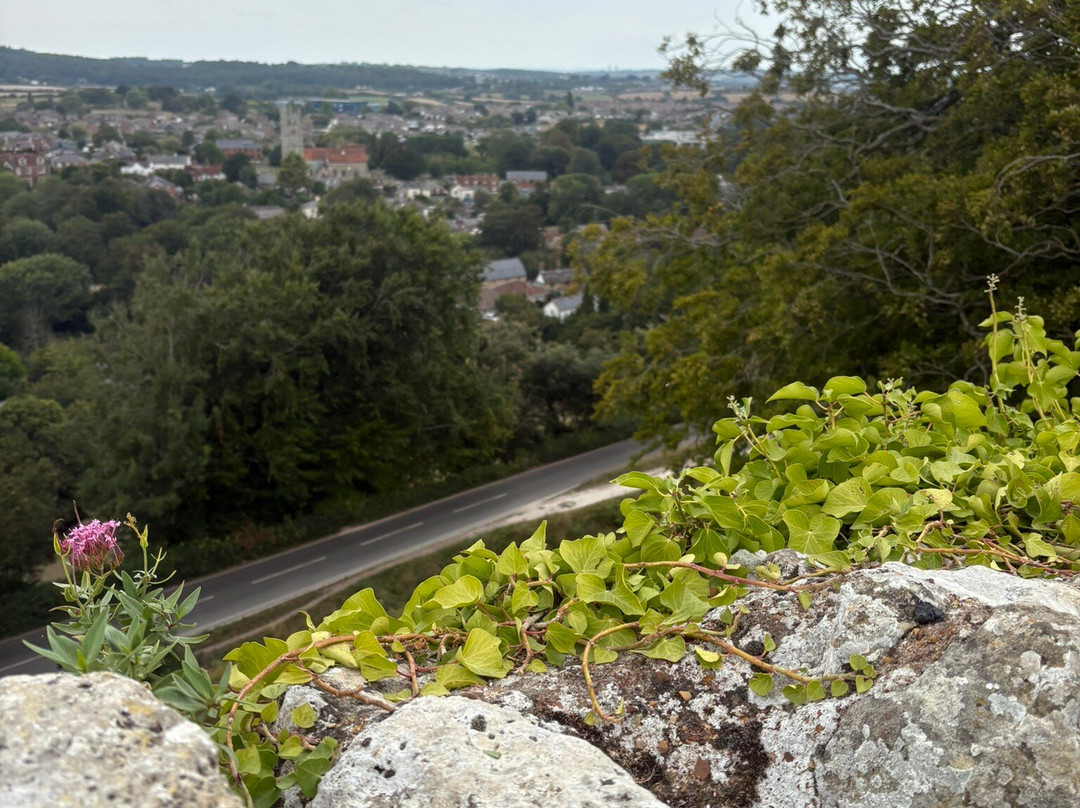 Carisbrooke Castle-纽波特必去景点