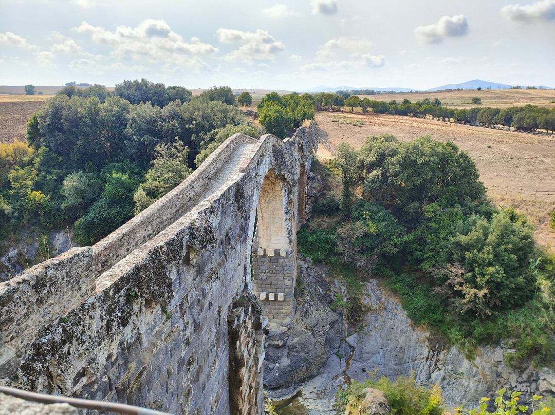 Parco Archeologico Naturalistico di Vulci-Montalto di Castro必去景点