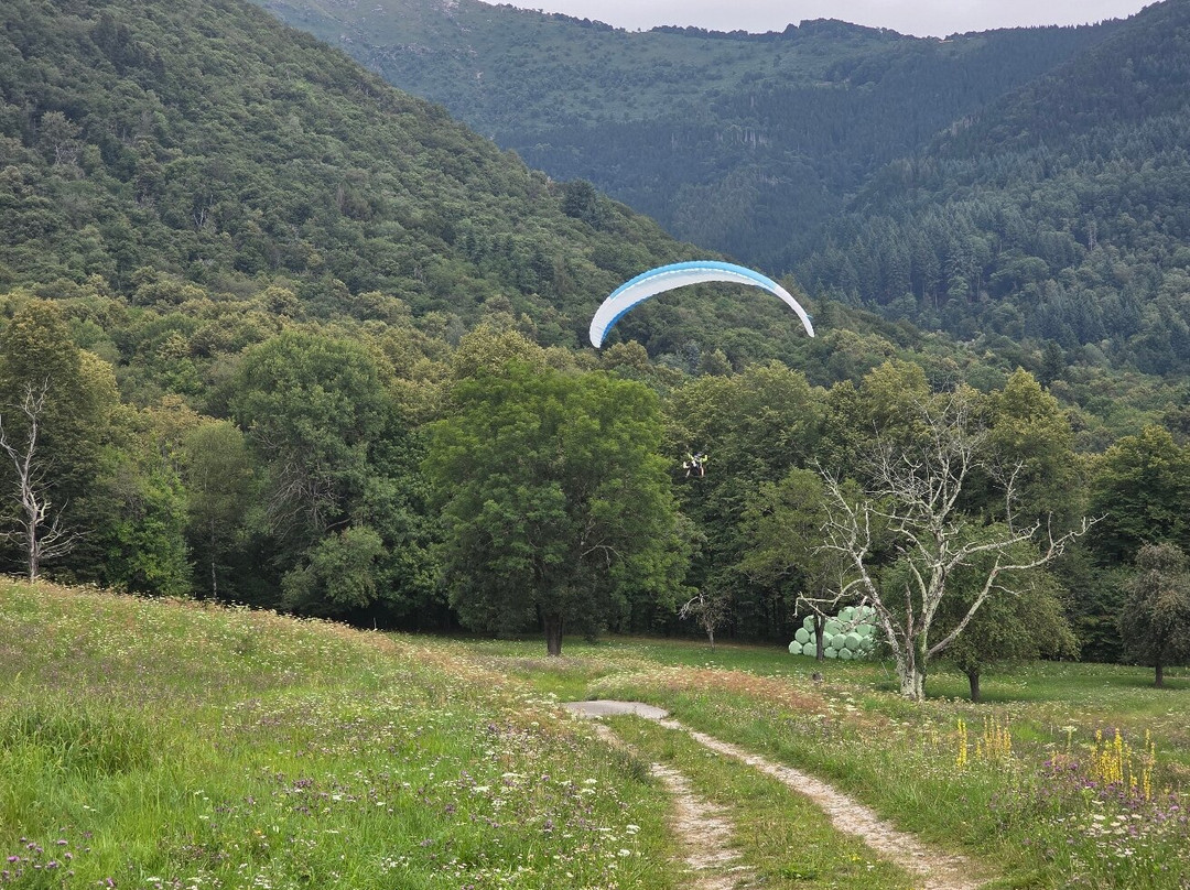 FlyTicino - Paragliding Tandem Flights-卢加诺必去景点