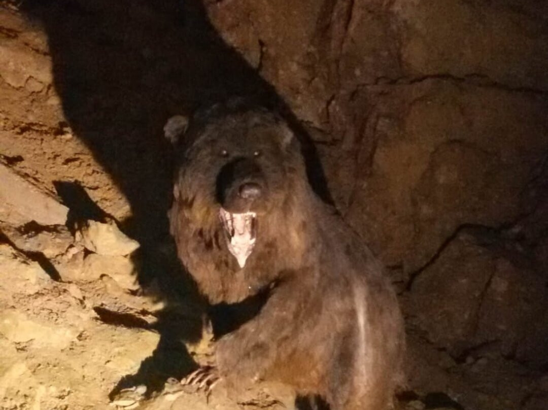 Grotte Di Villanova-Lusevera必去景点