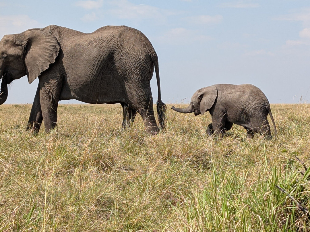 Masai Mara Holidays-Mara North Conservancy必去景点