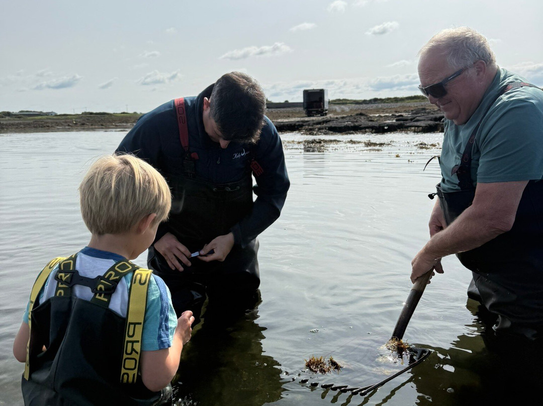 Kelly Oysters-Kilcolgan必去景点