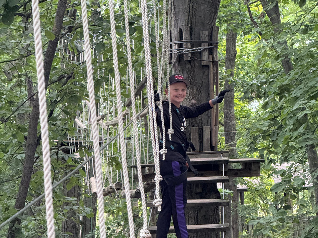 TreeRunner West Bloomfield Adventure Park-西布鲁姆菲尔德必去景点