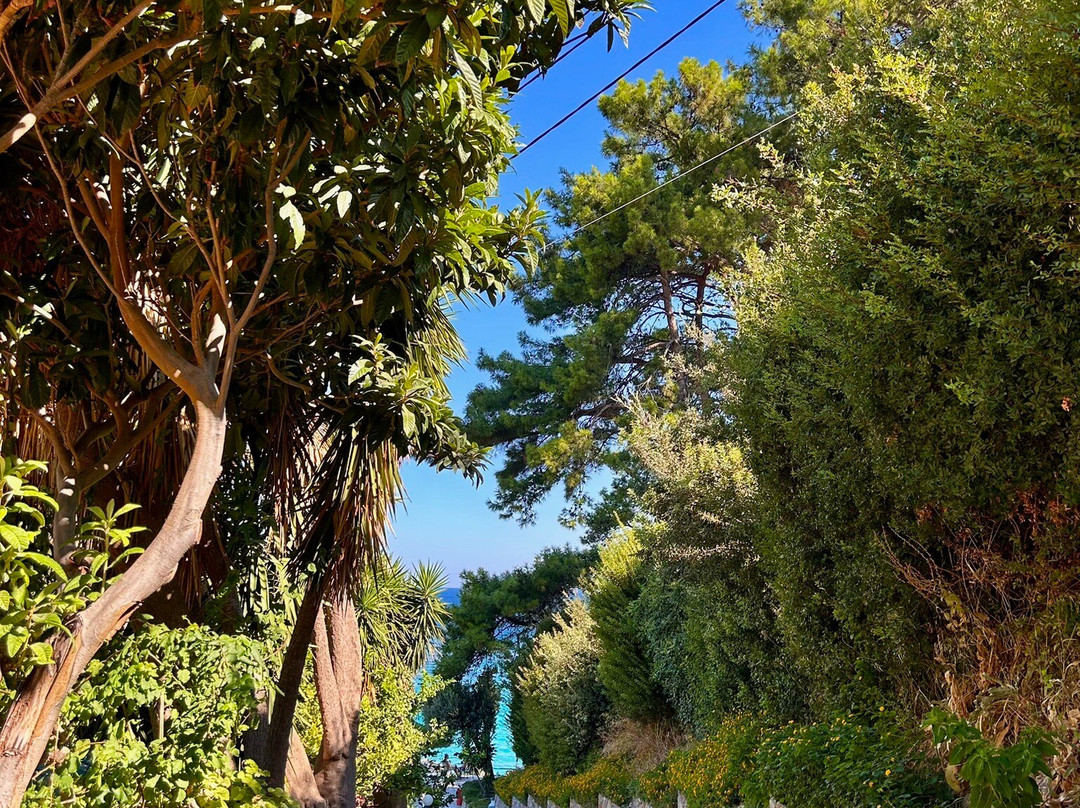 Lemonakia Beach-Kokkari必去景点