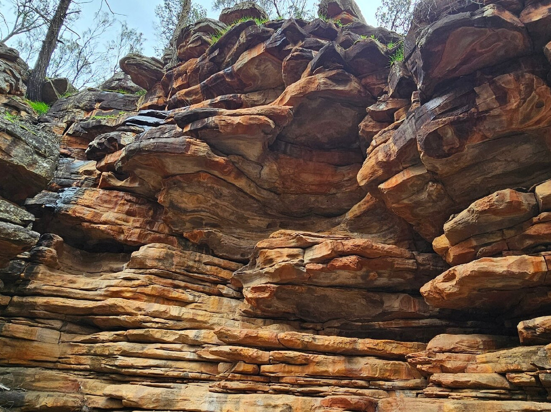 Alligator Gorge-Wilmington必去景点