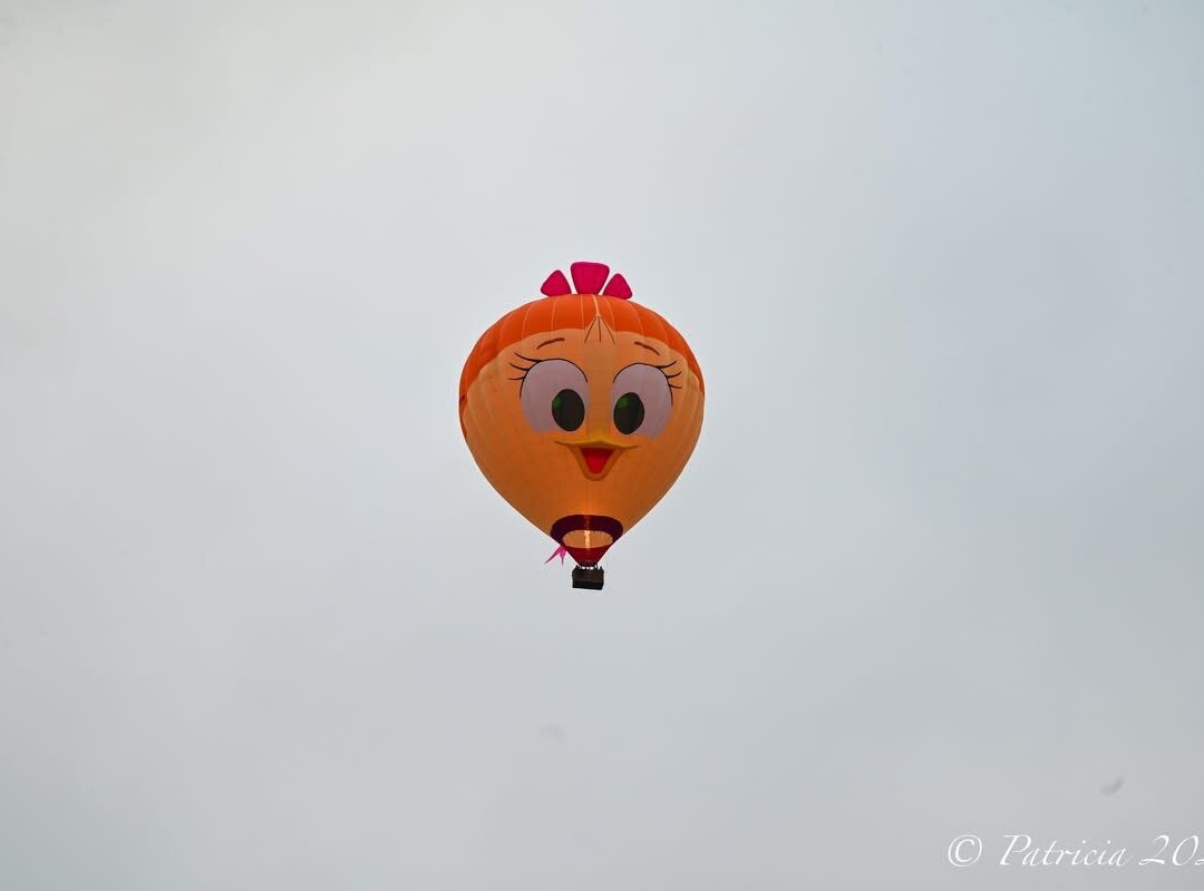 AB Ballonvaarten-Destelbergen必去景点