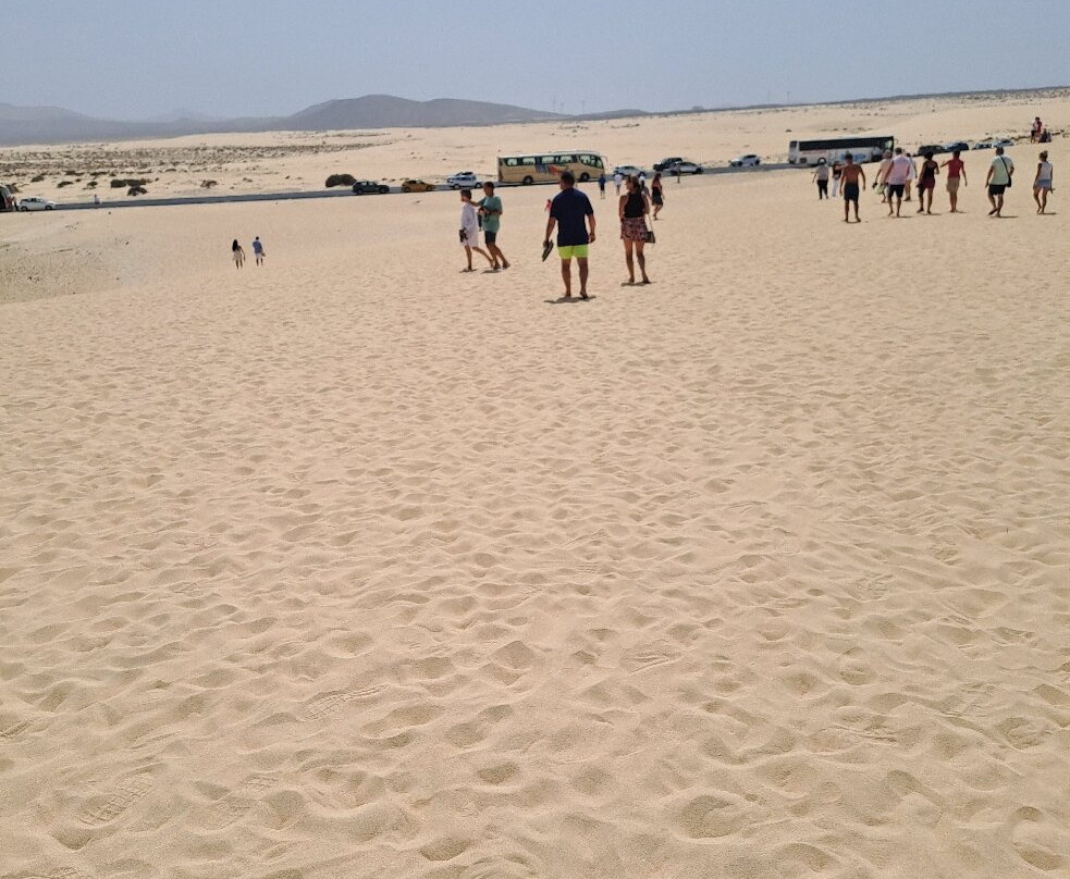 Dunas De Corrallejo-科拉雷侯必去景点