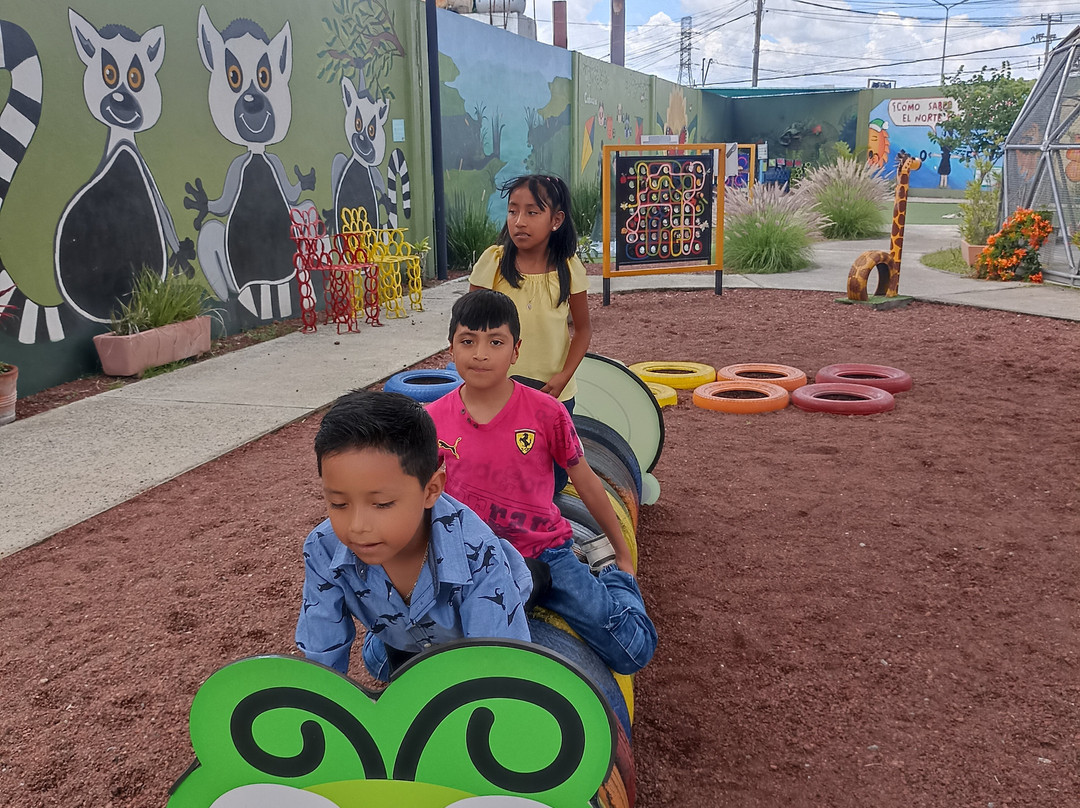 Zoo Parque Loro Puebla-普埃布拉必去景点