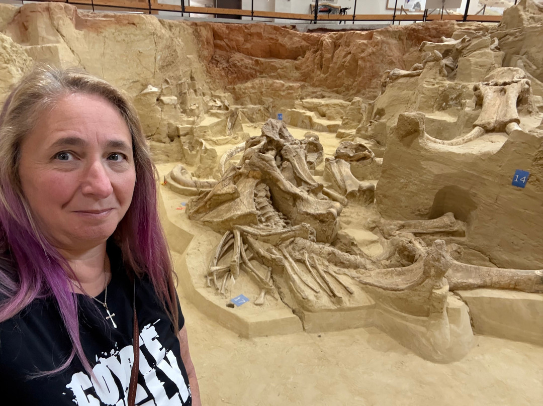 The Mammoth Site of Hot Springs-温泉城必去景点