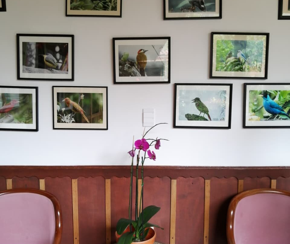 Bio Onda-Pijao必去景点