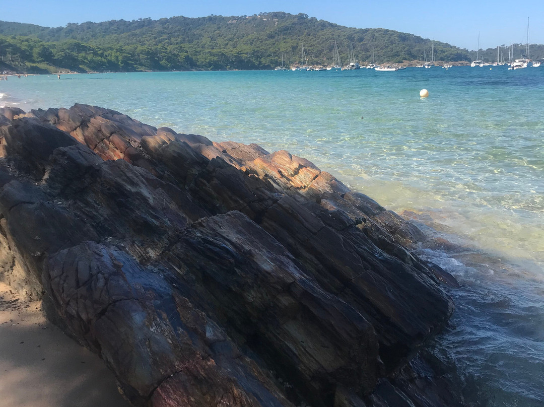 Plage Notre Dame-null必去景点