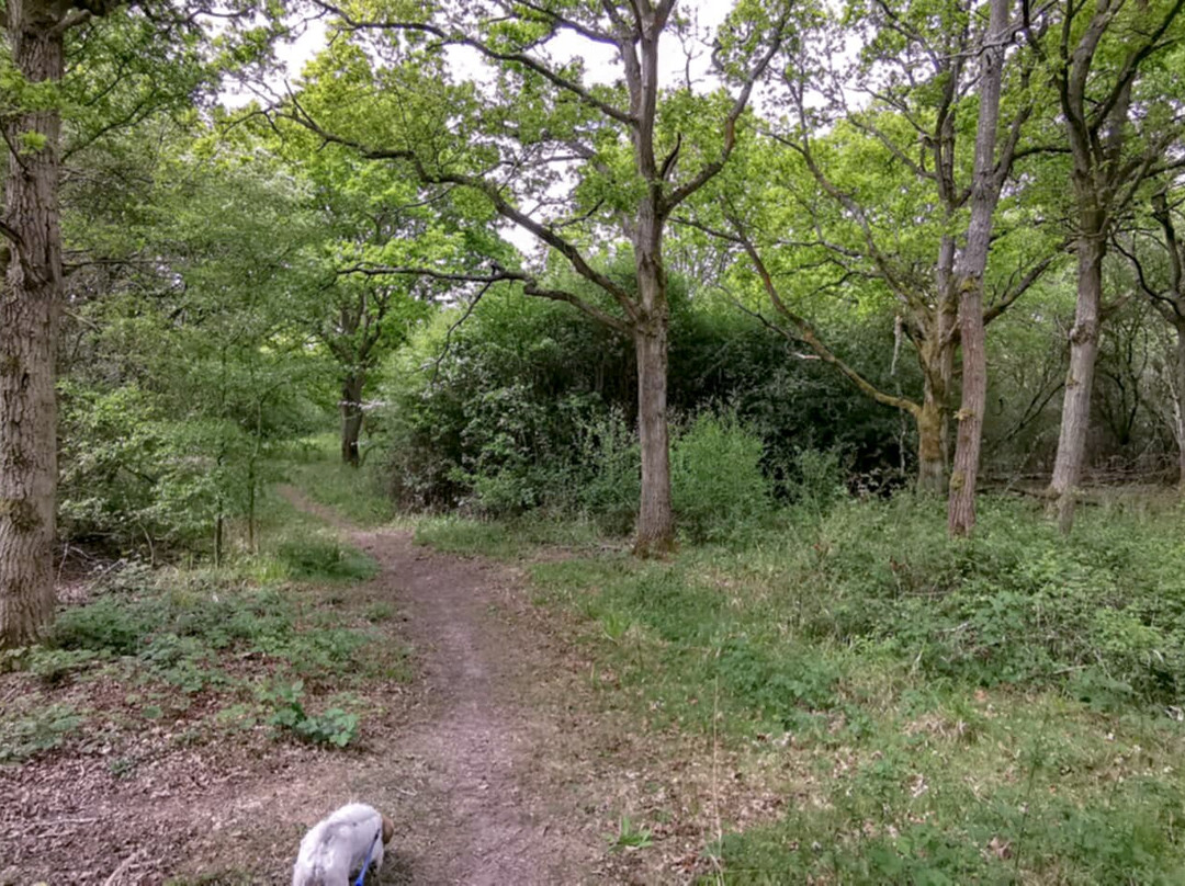 Stow Maries Halt Nature Reserve-Stow Maries必去景点