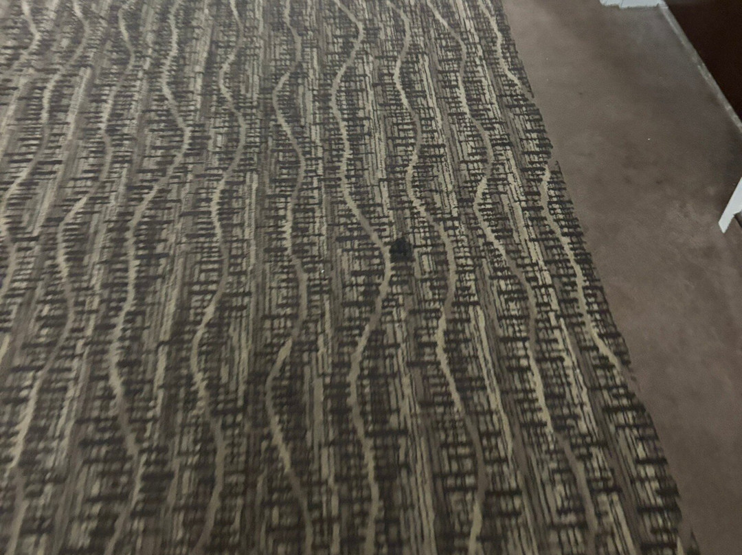 Comfort Suites Near Rainbow Springs主图