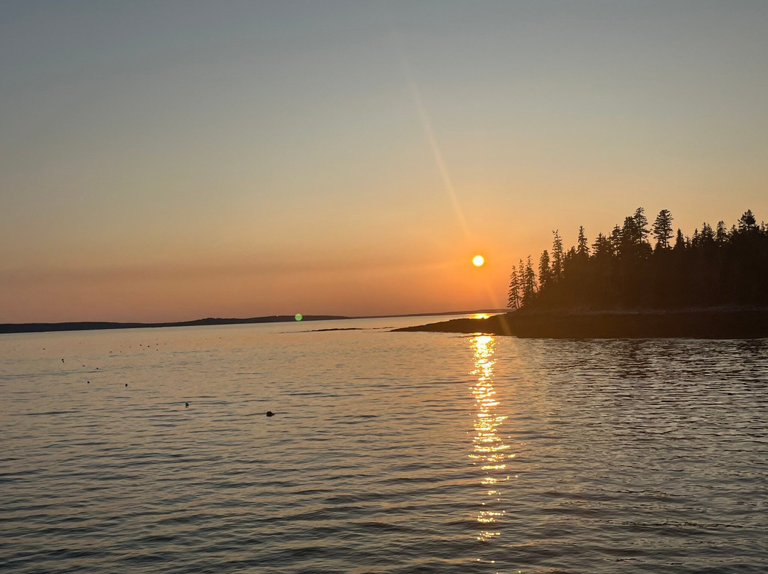 Acadian Boat Tours-巴港必去景点