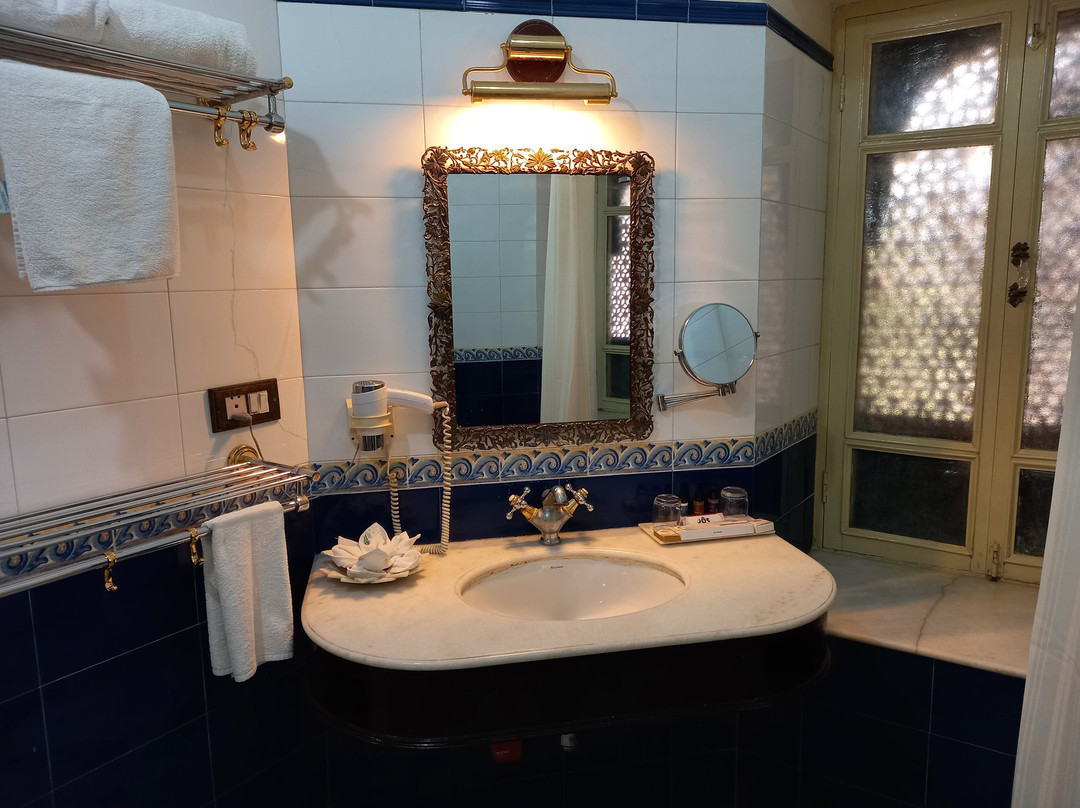 拉克西米尼瓦斯宫酒店主图