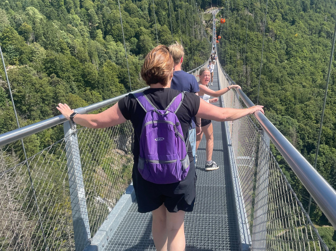 Blackforestline Hangebrucke-托特瑙必去景点