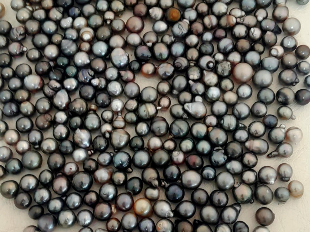 Bijouterie Tavita-帕皮提必去景点