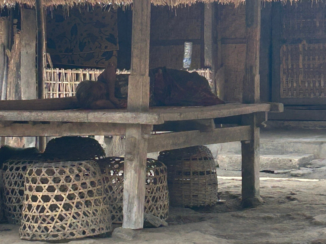 Rinjani Women Adventure-Senaru必去景点