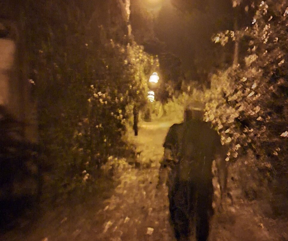 Tortuguero Life Tours-托图杰多必去景点