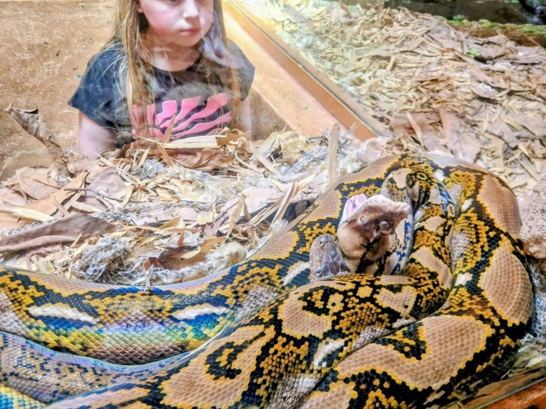 Crocoparc-阿加迪尔必去景点