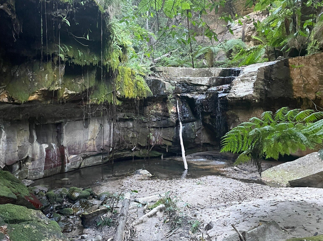 Australian Nature Guides-Carnarvon National Park必去景点