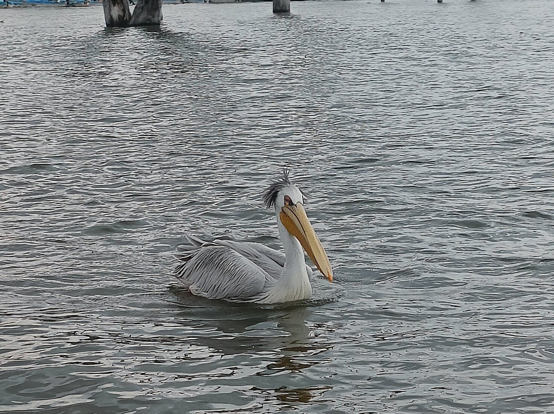 Safari Monks-Bandhavgarh National Park必去景点