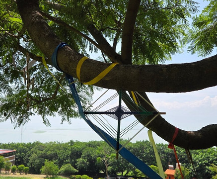 Galo de Allende-Mezcala必去景点