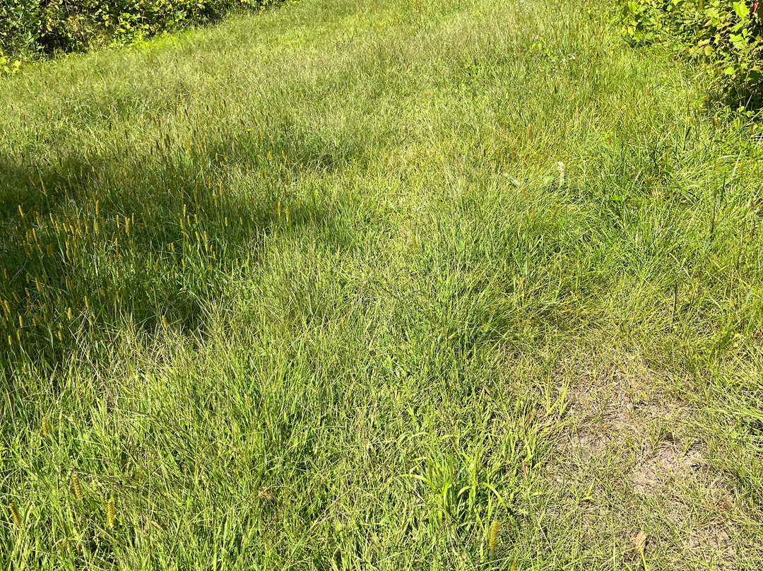 Wickiup Hill Learning Center-Toddville必去景点