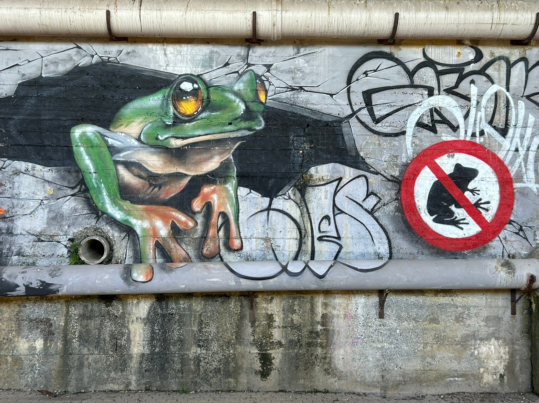 Rent a bike riviera Ligure-Arenzano必去景点