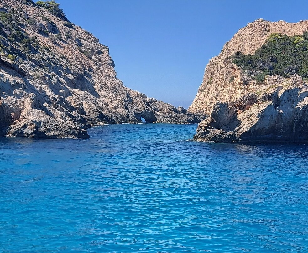 Golden Dolphin-阿雷克斯必去景点