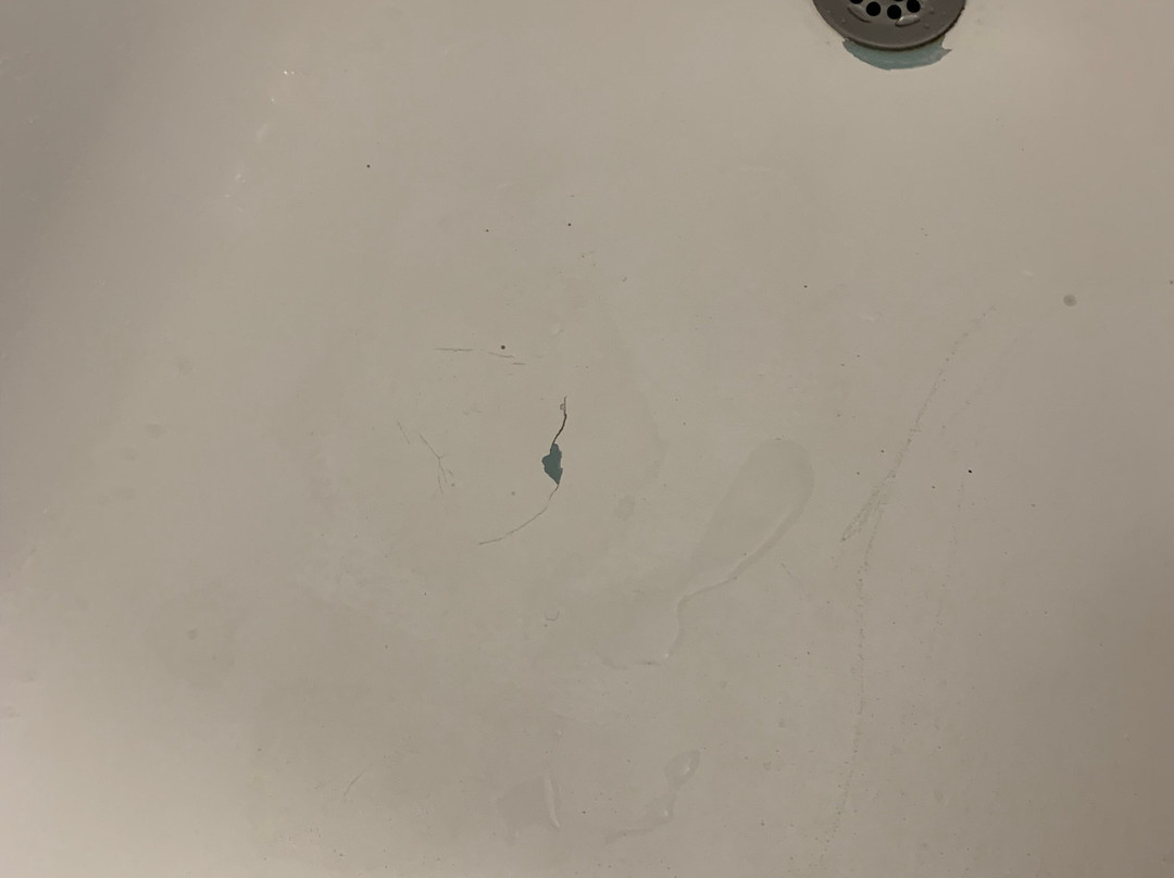 Super 8 by Wyndham Bangor主图