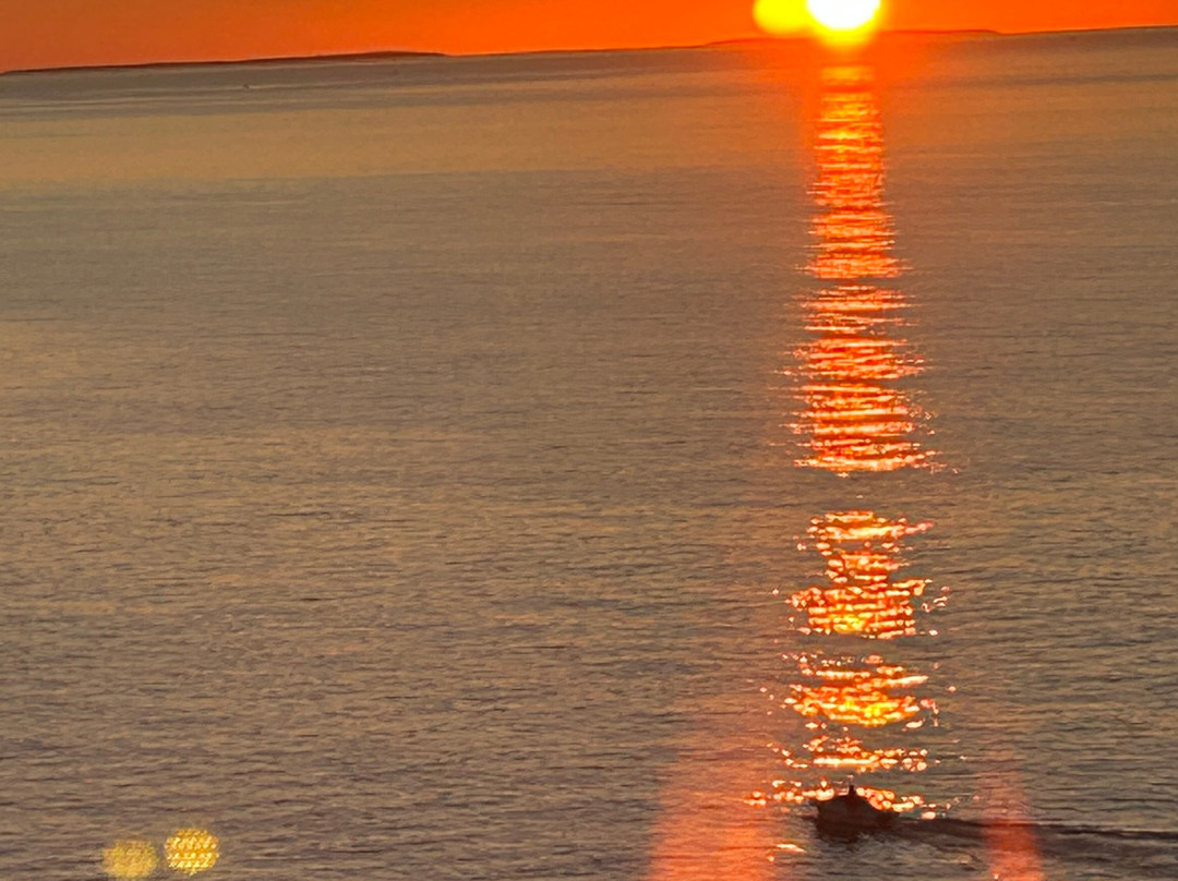 Hardy Boat Cruises-New Harbor必去景点