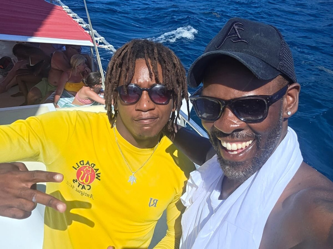 Wadadli Cats-安提瓜必去景点