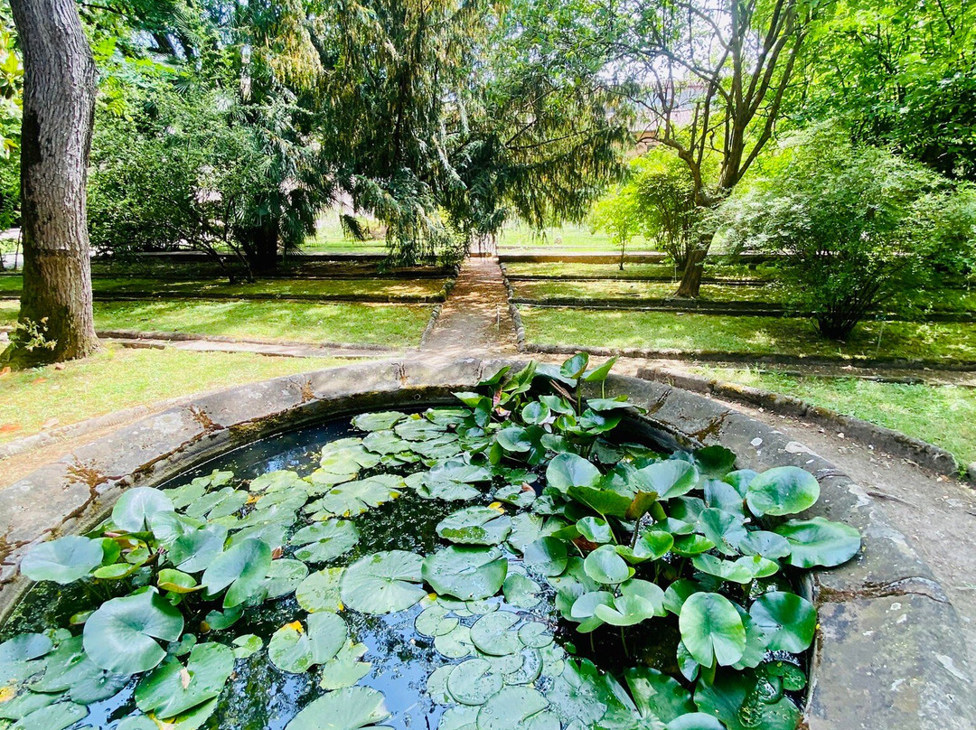 Orto e Museo Botanico di Pisa-比萨必去景点