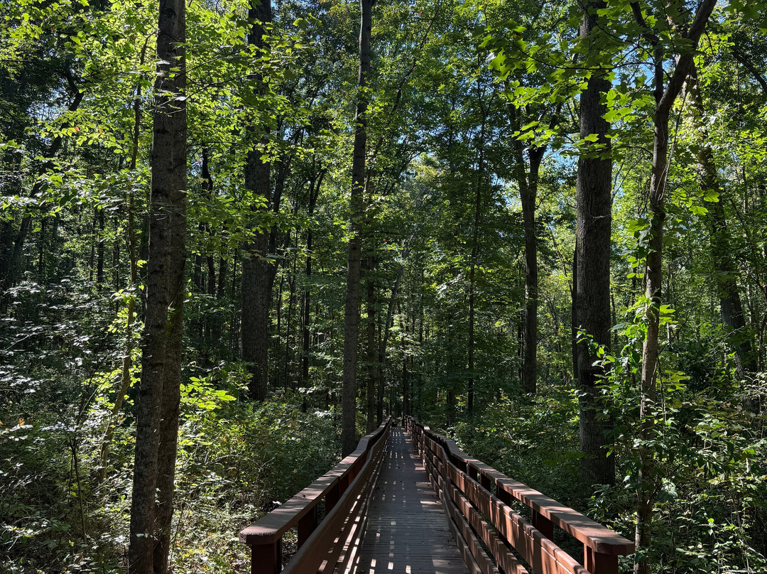 Salamander Middleburg主图