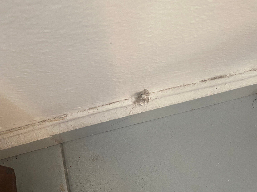 Kassavetis Center - Hotel Studios & Apartments主图