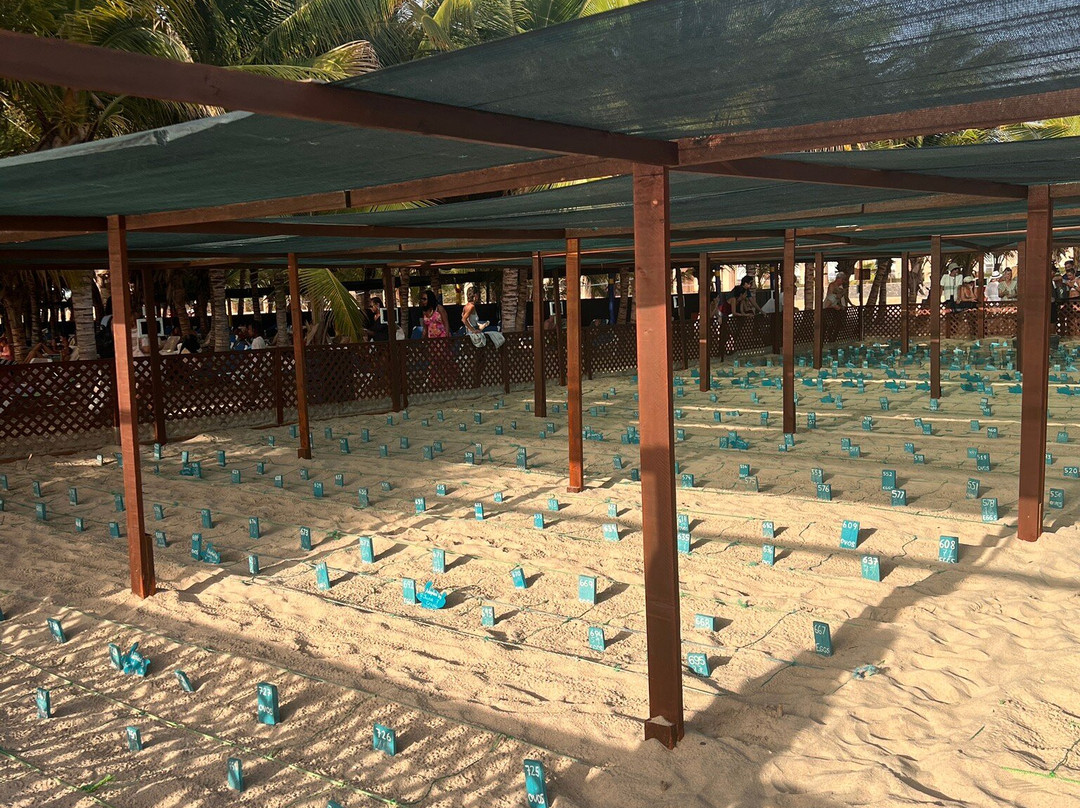 Projeto Biodiversidade-圣塔玛丽亚必去景点