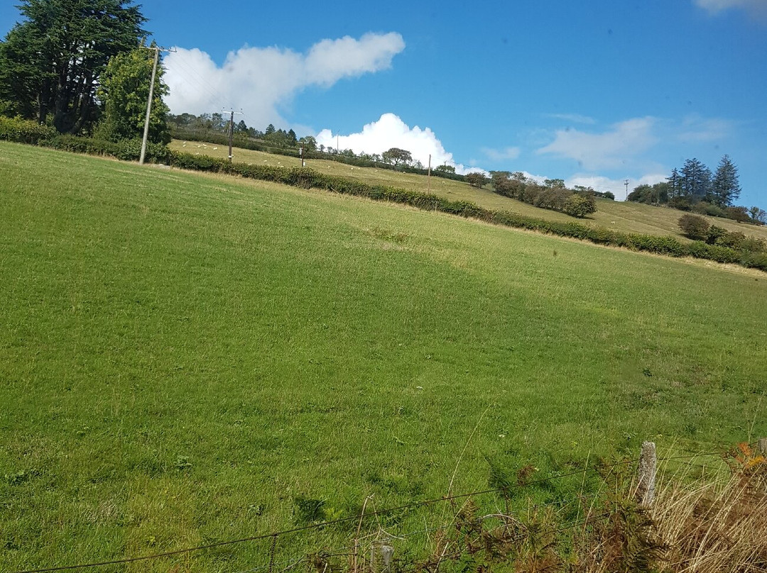Welshpool and Llanfair Light Railway-Welshpool必去景点